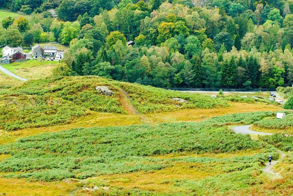 Pollys Cottage Елтъруотър Екстериор снимка